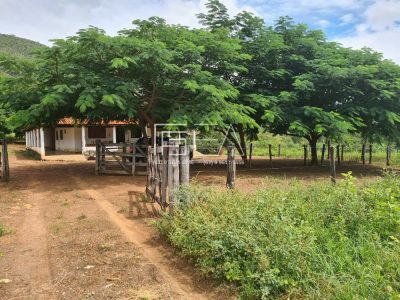 Fazenda, 3 quartos - Foto 3