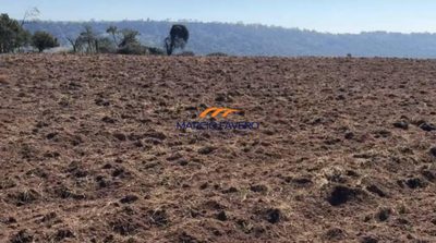 Fazenda, 639 hectares - Foto 3