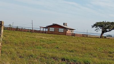 Fazenda, 146 hectares - Foto 2