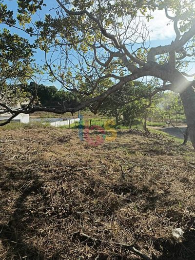 Terreno, 328 m² - Foto 5