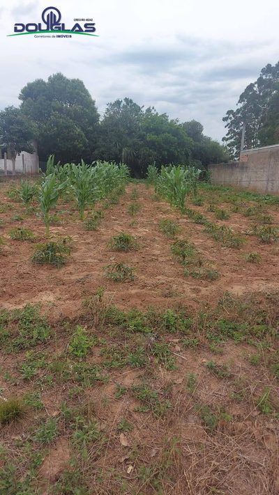 Terreno - Foto 3
