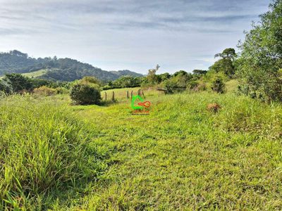 Terreno, 2 hectares - Foto 3