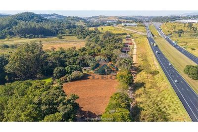 Terreno, 4 hectares - Foto 3