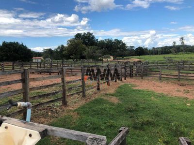 Fazenda, 2725 hectares - Foto 3