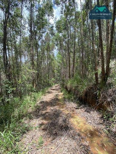 Terreno, 10 hectares - Foto 2