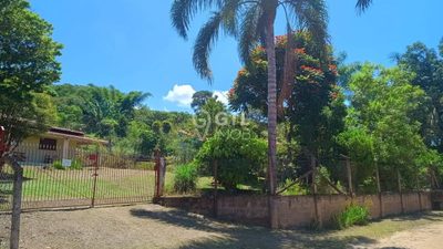 Chácara, 2 quartos, 3194 m² - Foto 2