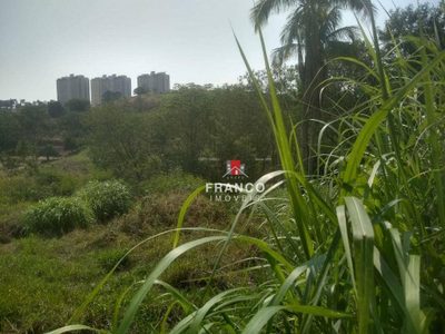 Terreno, 2 hectares - Foto 1