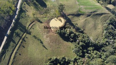 Terreno, 3 hectares - Foto 4