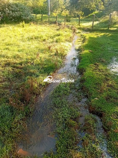 Chácara, 2 quartos, 2 hectares - Foto 1