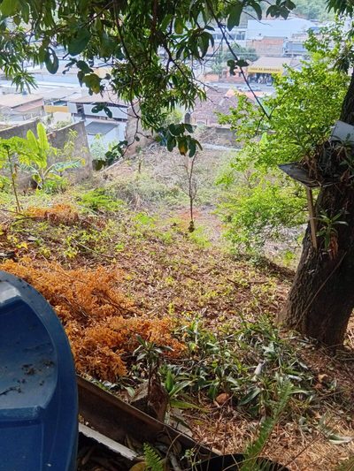 Terreno - Foto 5