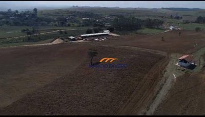 Fazenda, 257 hectares - Foto 2