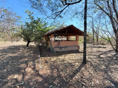 Sítio, 4 quartos, 22 hectares - Foto 4