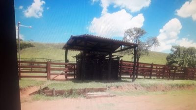 Fazenda, 10000 m² - Foto 4