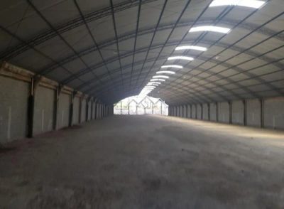 Depósito-Galpão, 3000 m² - Foto 5