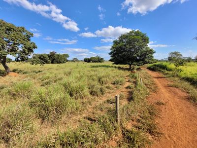 Fazenda, 496 hectares - Foto 4