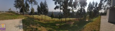 Terreno, 2 hectares - Foto 4