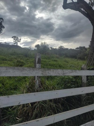 Fazenda - Foto 4