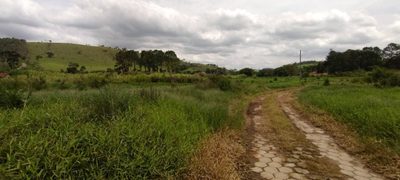 Fazenda, 114 hectares - Foto 3