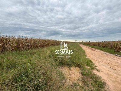 Fazenda, 289 hectares - Foto 4