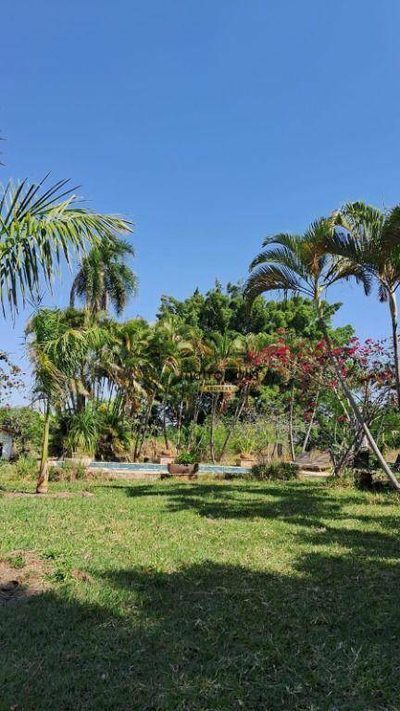 Chácara, 4 quartos, 3 hectares - Foto 1