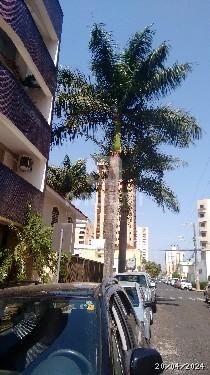 Prédio Inteiro, 1578 m² - Foto 2