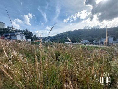 Terreno, 200 m² - Foto 4