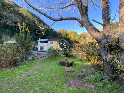 Sítio, 2 quartos, 2 hectares - Foto 2