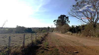 Sítio, 7 hectares - Foto 3