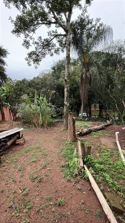 Terreno, 1000 m² - Foto 5