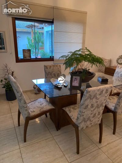 Casa, 7 quartos, 570 m² - Foto 4