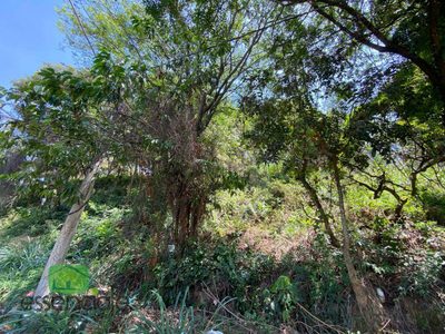Terreno, 383 m² - Foto 4
