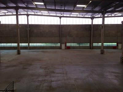 Depósito-Galpão, 1687 m² - Foto 5