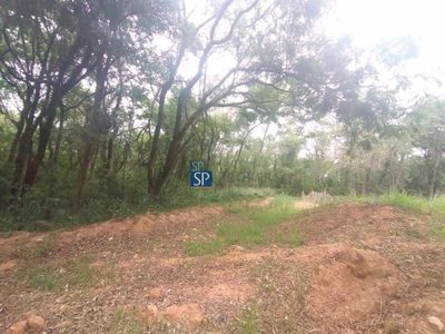 Terreno, 3700 m² - Foto 5