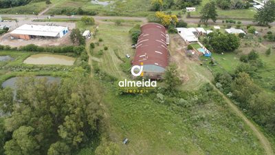 Depósito-Galpão, 2500 m² - Foto 3