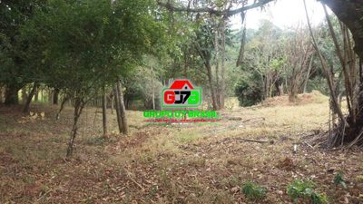 Terreno, 2 hectares - Foto 2