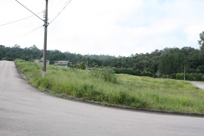Terreno, 5009 m² - Foto 4