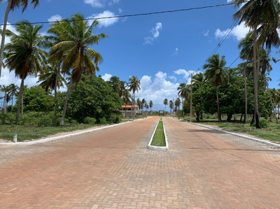 Terreno, 260 m² - Foto 5