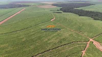 Fazenda, 399 hectares - Foto 2