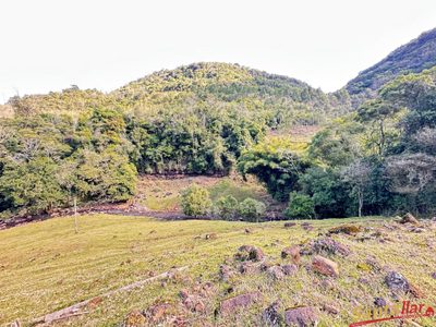 Sítio, 85 hectares - Foto 4