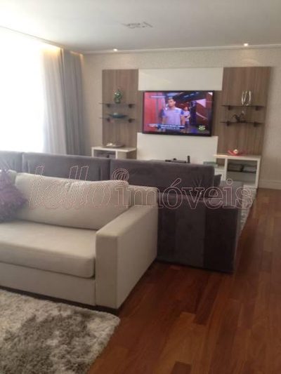 Apartamento, 4 quartos, 254 m² - Foto 2