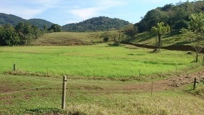 Terreno, 8 hectares - Foto 3