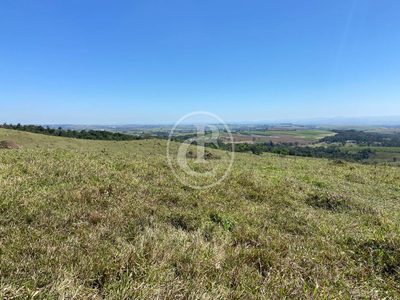 Fazenda, 70 hectares - Foto 2