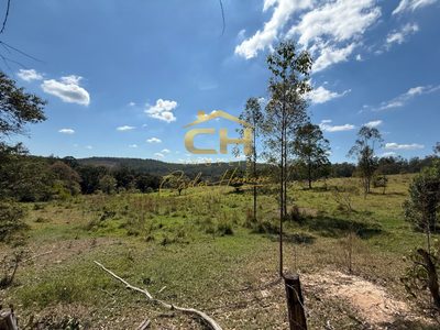 Fazenda, 83 hectares - Foto 4