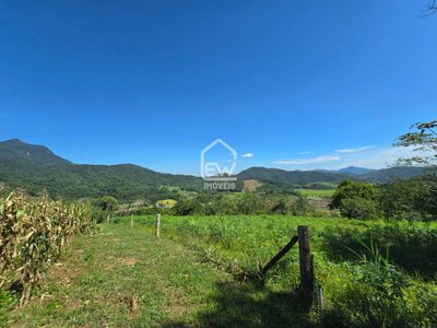 Sítio, 3 quartos, 3 hectares - Foto 4