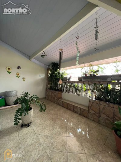 Casa, 5 quartos, 230 m² - Foto 4