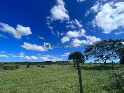 Fazenda, 252 hectares - Foto 2