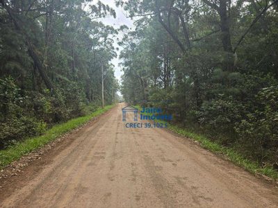 Terreno, 560 hectares - Foto 4