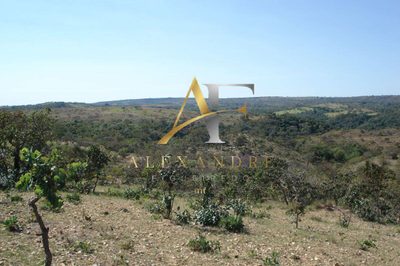 Terreno, 232 m² - Foto 5