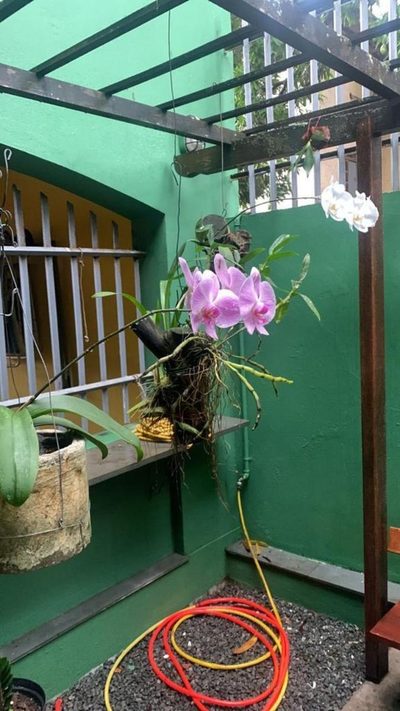 Apartamento, 4 quartos, 430 m² - Foto 5