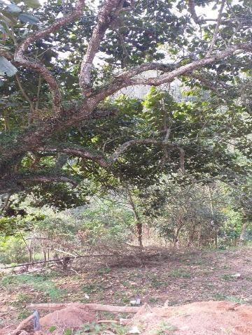 Chácara, 1 quarto, 7646 m² - Foto 2